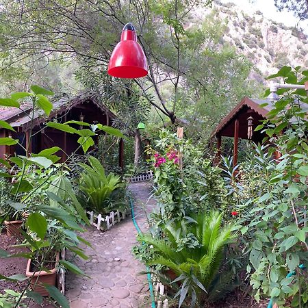 Canario Bungalows Çıralı 외부 사진