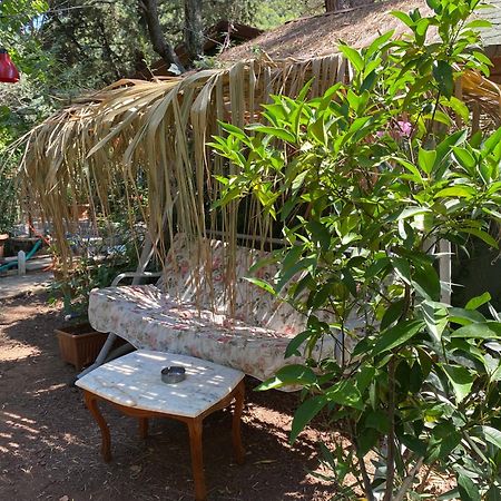 Canario Bungalows Çıralı 외부 사진