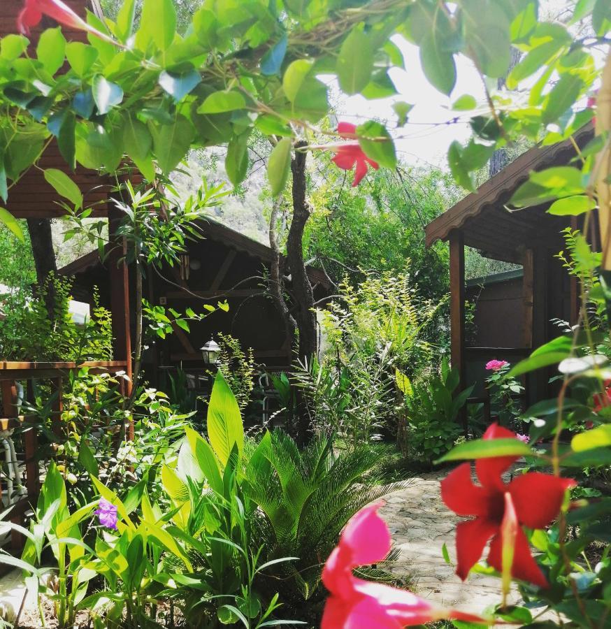 Canario Bungalows Çıralı 외부 사진