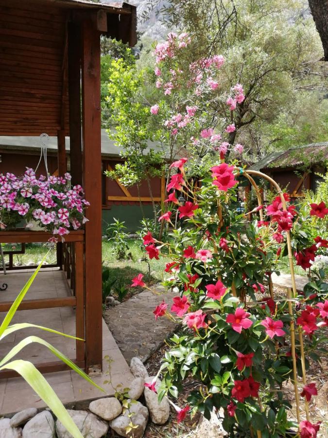 Canario Bungalows Çıralı 외부 사진