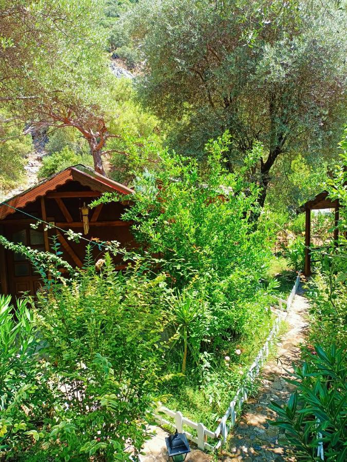 Canario Bungalows Çıralı 외부 사진