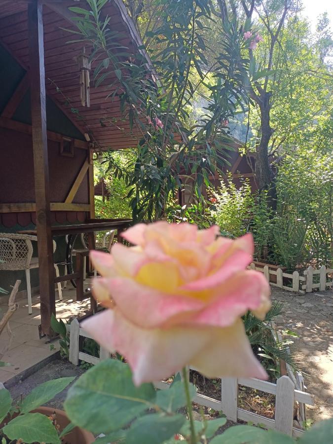 Canario Bungalows Çıralı 외부 사진