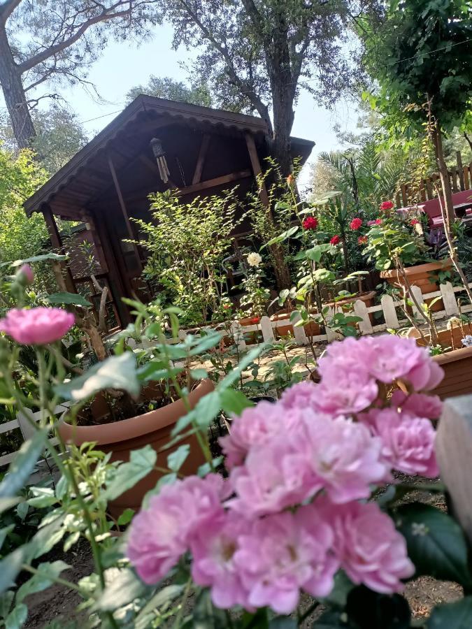 Canario Bungalows Çıralı 외부 사진