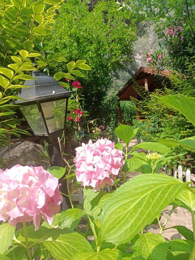 Canario Bungalows Çıralı 외부 사진