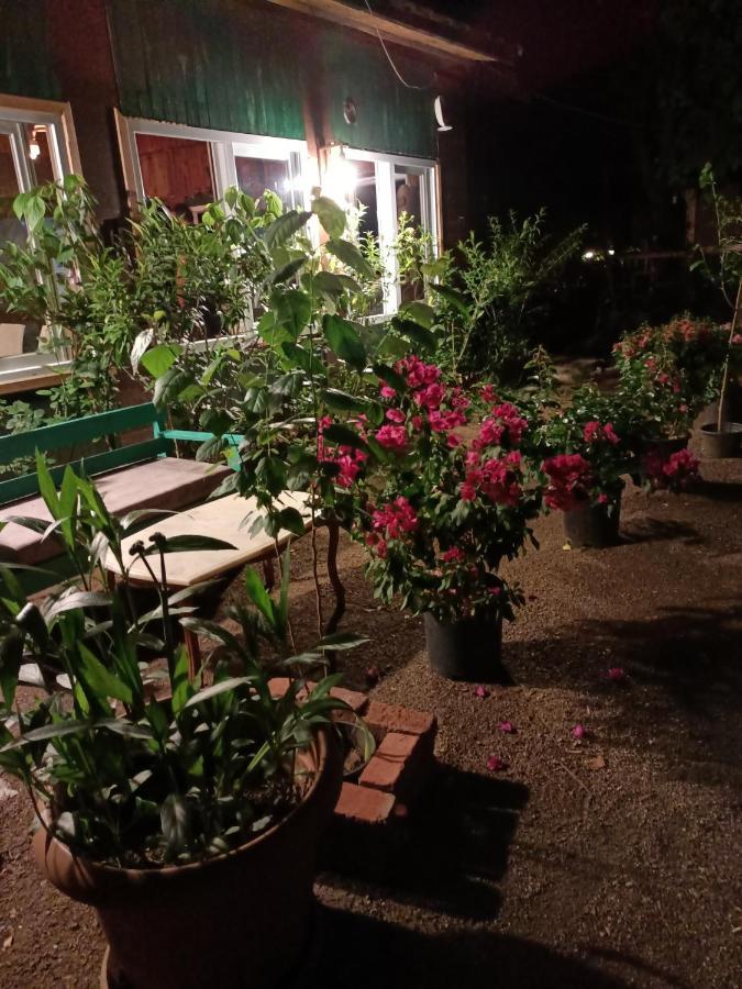 Canario Bungalows Çıralı 외부 사진