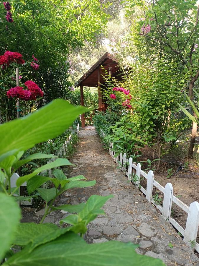 Canario Bungalows Çıralı 외부 사진
