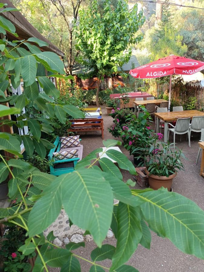 Canario Bungalows Çıralı 외부 사진