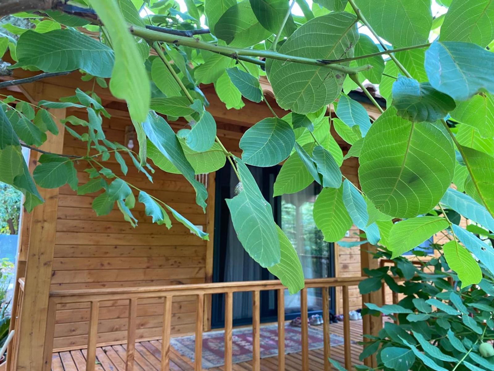 Canario Bungalows Çıralı 외부 사진